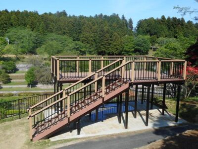 Wooden footpath / deck / footbridge