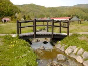 Waterside type footbridge 3