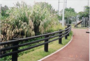 Plastic wood sidewalk roadway boundary fence (Vehicle guard fence)