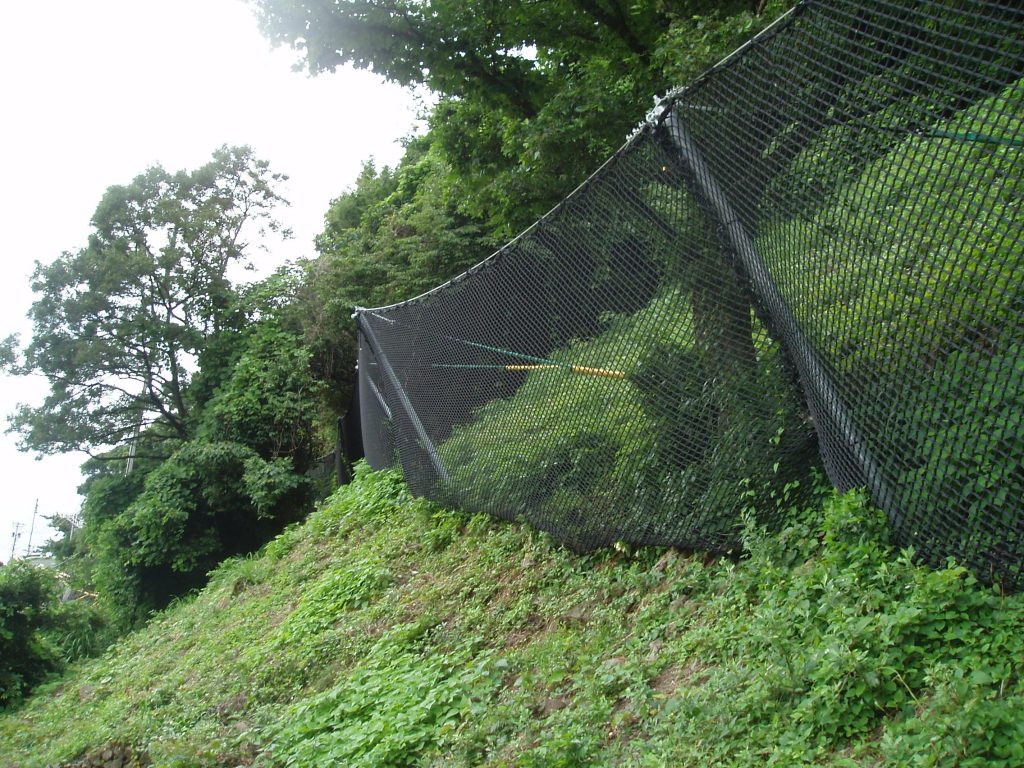 Nature Net method