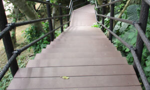 Natural park type stair deck (natural exploration wooden footpath)