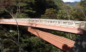 Natural park type footbridge